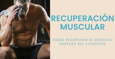 recuperacion muscular después del ejercicio